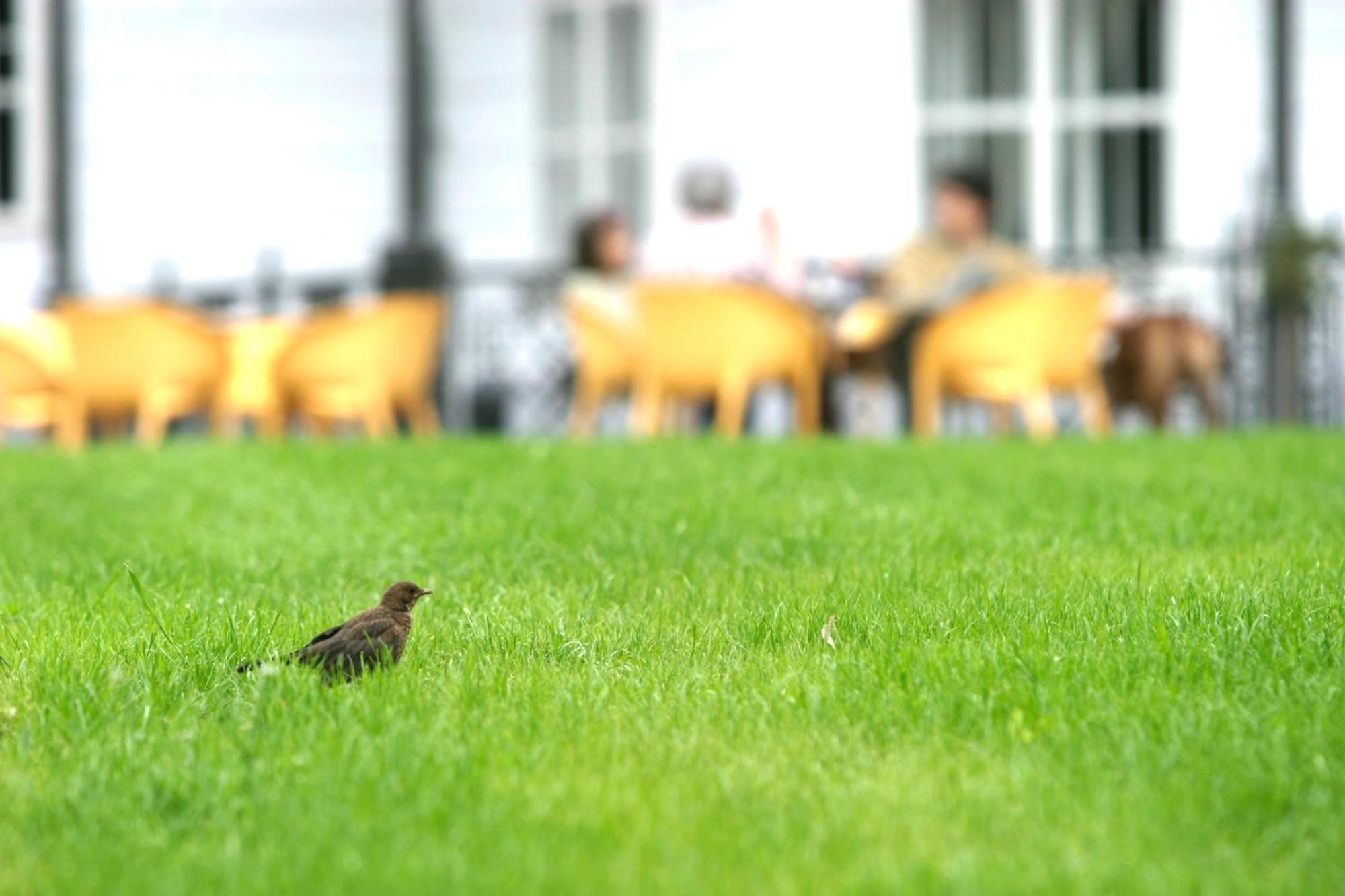 Park Hotel Tartuf Beladice Dış mekan fotoğraf