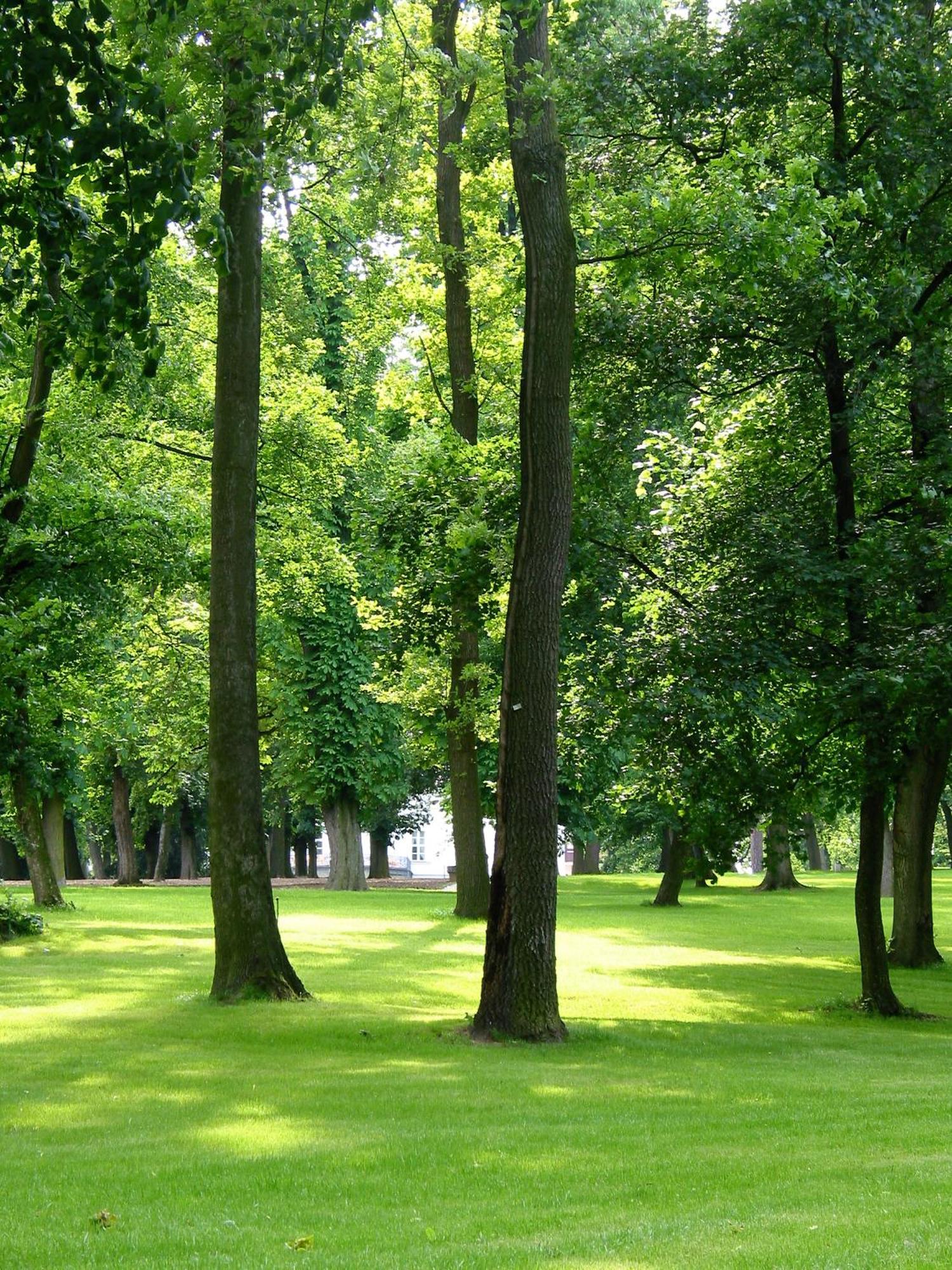 Park Hotel Tartuf Beladice Dış mekan fotoğraf